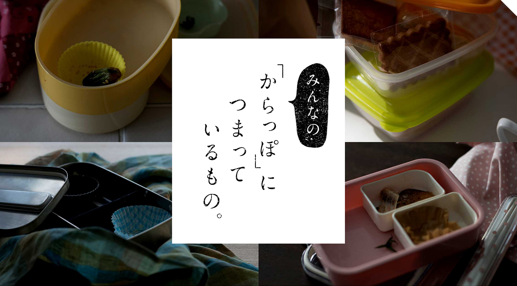 「Kao PLAZA 特集 みんなの「からっぽ」につまっているもの。」サイト制作